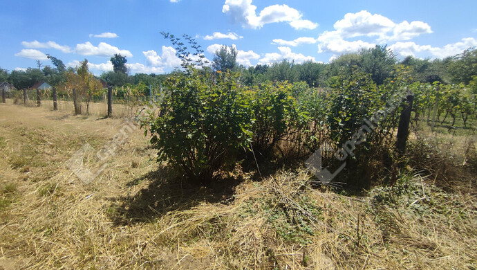 47. kép | Eladó Nyaraló, Szepetnek (#176202)