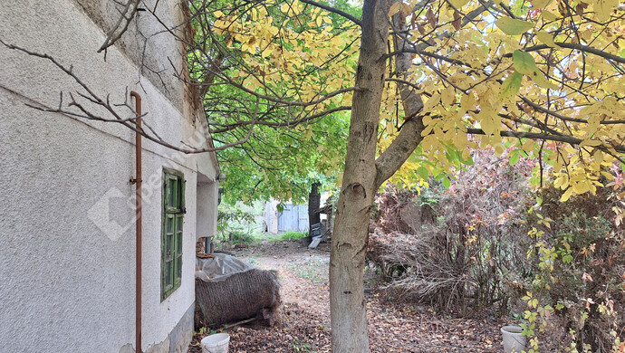 2. kép | Eladó Családi ház, Újkér (#170802)