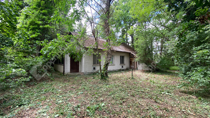15. kép | Eladó Családi ház, Hegykő (#182857)