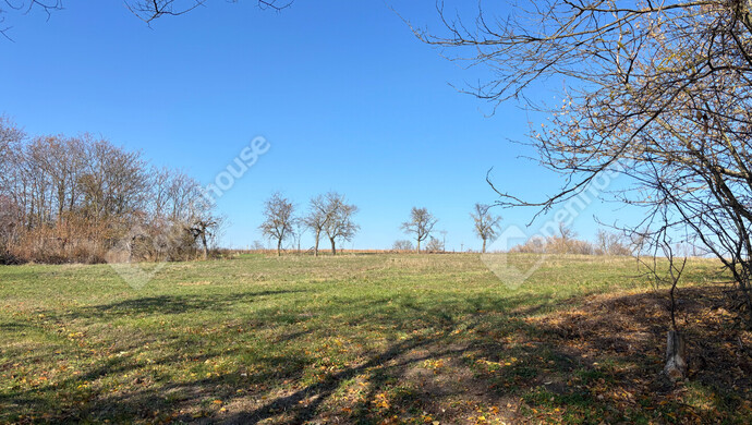 3. kép | Eladó Telek, Gomba (#178274)