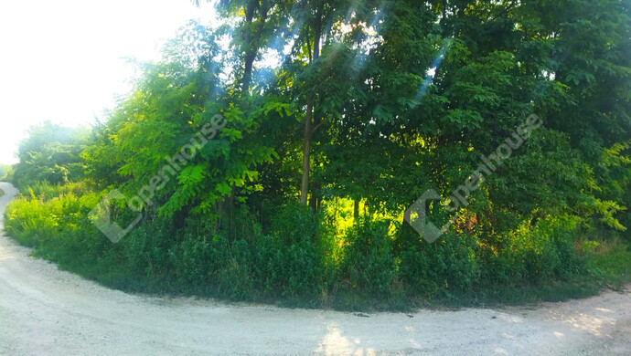 10. kép | Eladó Telek, Öreglak (#179289)