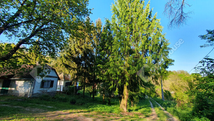 21. kép | Eladó Nyaraló, Homokkomárom (#181371)