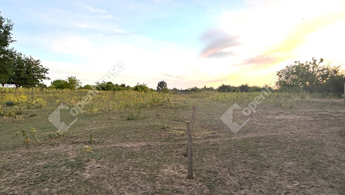 22. kép | Eladó Családi ház, Kóka (#176919)