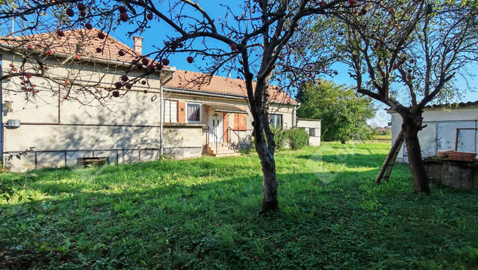 27. kép | Eladó Családi ház, Tornyiszentmiklós (#163629)