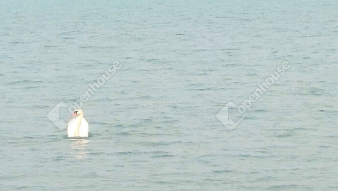 17. kép | Eladó Téglaépítésű lakás, Siófok (#177644)