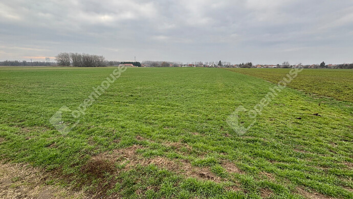 3. kép | Eladó Telek, Csévharaszt (#178889)