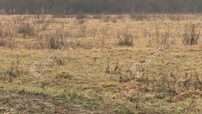 11. kép | Eladó Telek, Zalaegerszeg (#179597)