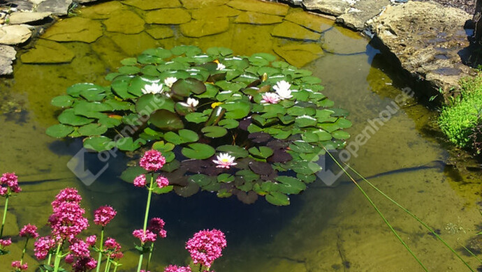 2. kép | Eladó Családi ház, Nagykanizsa (#179789)