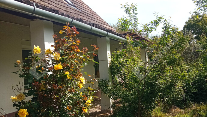 16. kép | Eladó Családi ház, Somogyszentpál (#177748)