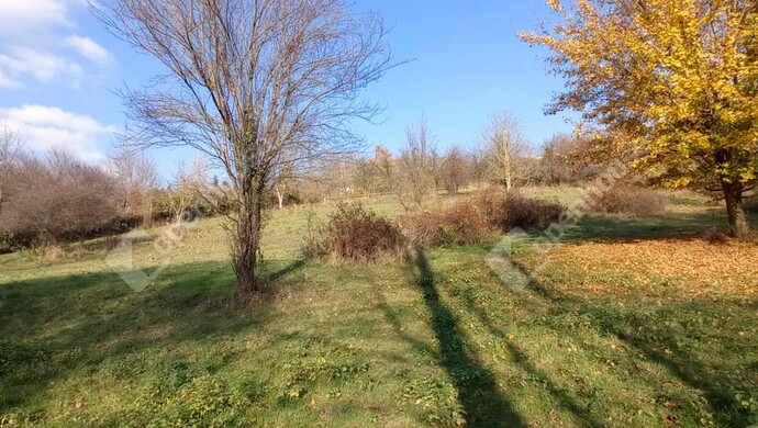 0. kép | Eladó Zárt kert, Zalaegerszeg (#69557)