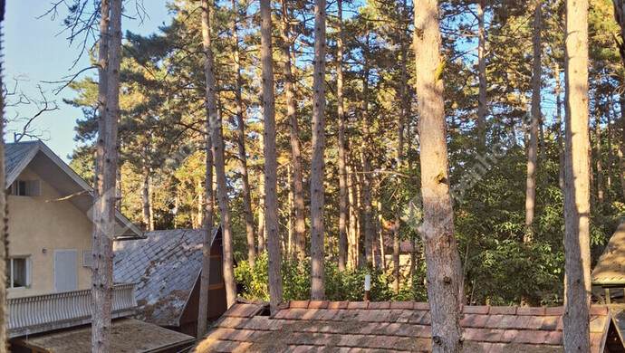 5. kép | Eladó Nyaraló, Komárom (#176831)