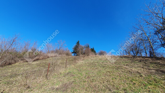 85. kép | Eladó Nyaraló, Homokkomárom (#180173)