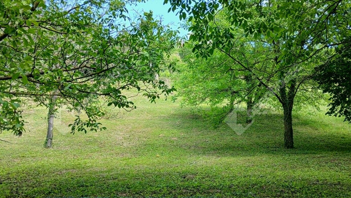 2. kép | Eladó Telek, Zalaegerszeg (#182102)