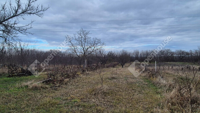 5. kép | Eladó Telek, Sülysáp (#178797)