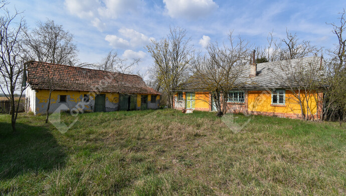 1. kép | Eladó Tanya, Balástya (#180752)