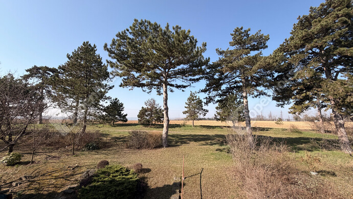 38. kép | Eladó Sorház, Keszthely (#180248)