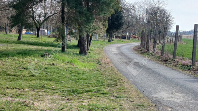 24. kép | Eladó Zárt kert, Nagypáli (#180466)