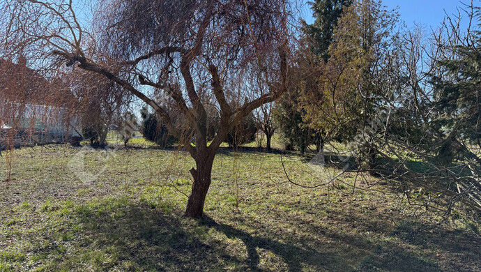 2. kép | Eladó Családi ház, Igal (#180138)