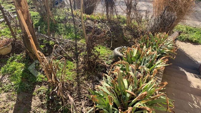 83. kép | Eladó Nyaraló, Homokkomárom (#179898)