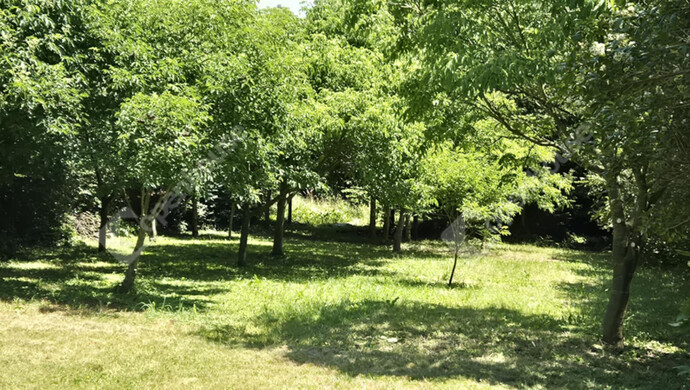 4. kép | Eladó Telek, Zalalövő (#178307)