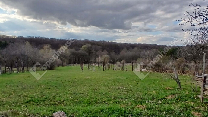 6. kép | Eladó Zárt kert, Lenti (#180464)