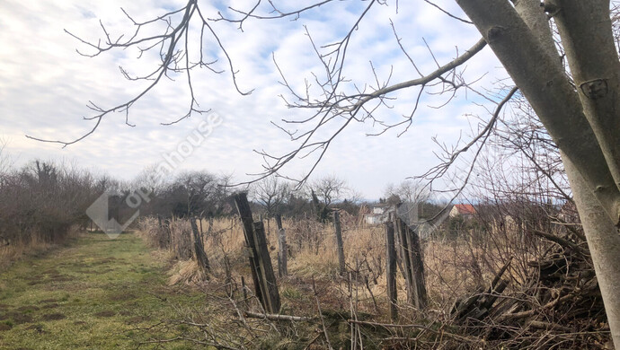 20. kép | Eladó Nyaraló, Nagykanizsa (#175740)