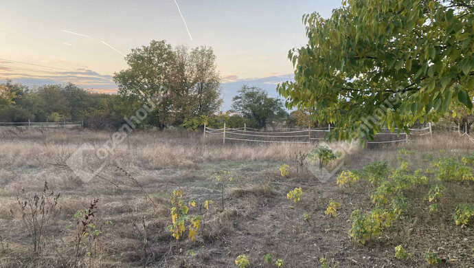 9. kép | Eladó Családi ház, Kiskunfélegyháza (#177587)