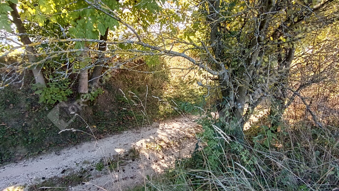 13. kép | Eladó Családi ház, Újudvar (#178058)