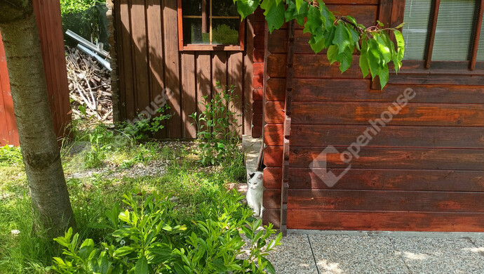 21. kép | Eladó Családi ház, Noszlop (#180715)