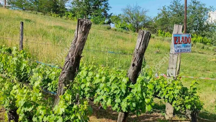 2. kép | Eladó Telek, Kőröshegy (#176631)