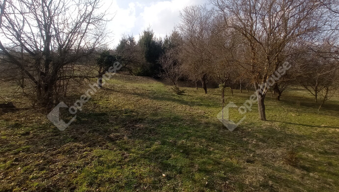 19. kép | Eladó Családi ház, Zalaegerszeg (#180616)