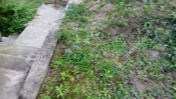 40. kép | Eladó Zárt kert, Zalaegerszeg (#181316)