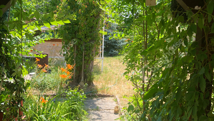 0. kép | Eladó Zárt kert, Szatymaz (#172857)