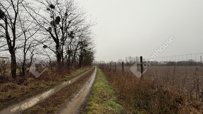 6. kép | Eladó Telek, Zalaegerszeg (#179597)