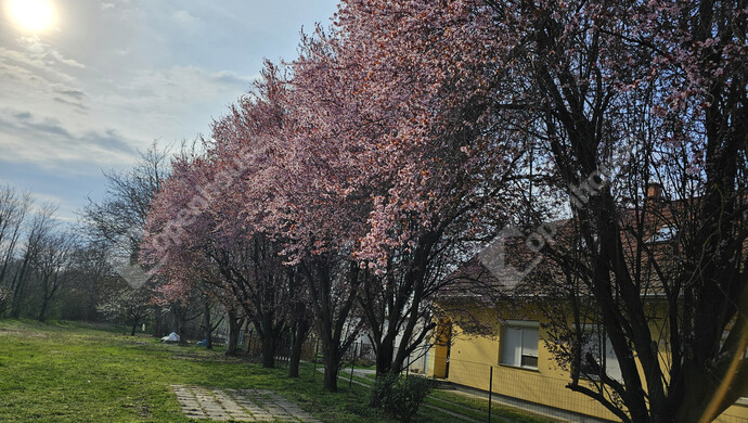 13. kép | Eladó Családi ház, Szőlősgyörök (#179158)