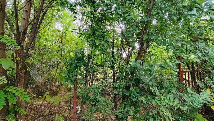 0. kép | Csór eladó építési telek | Eladó Telek, Csór (#177363)