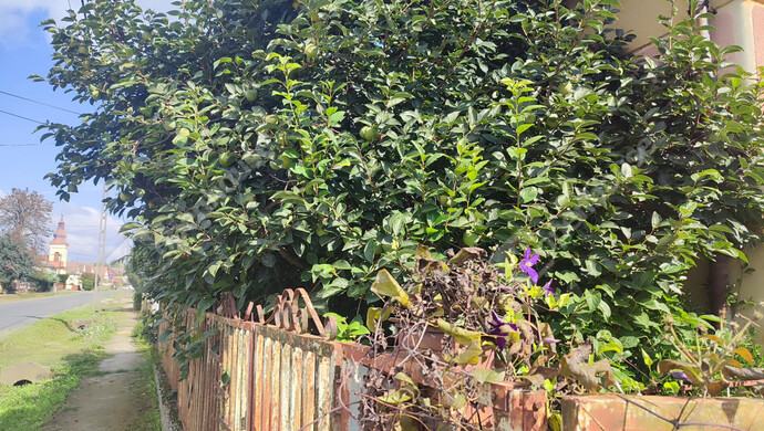 49. kép | Eladó Családi ház, Porrogszentkirály (#178270)