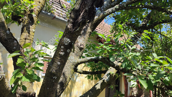 73. kép | Eladó Nyaraló, Szepetnek (#176202)