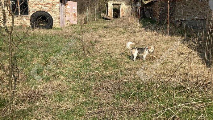 18. kép | Eladó Családi ház, Mernye (#177347)