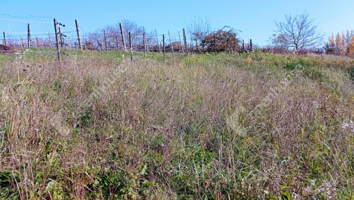 4. kép | Eladó Zárt kert, Zalaegerszeg (#69556)