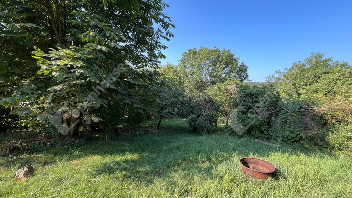 36. kép | Udvar középen | Eladó Családi ház, Harsány (#176944)