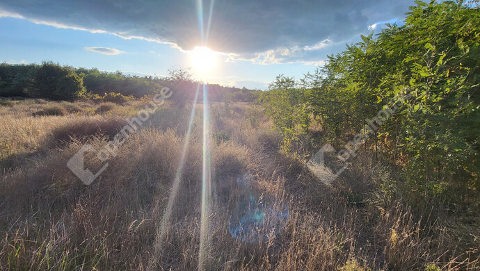 18. kép | Eladó Családi ház, Csévharaszt (#177560)