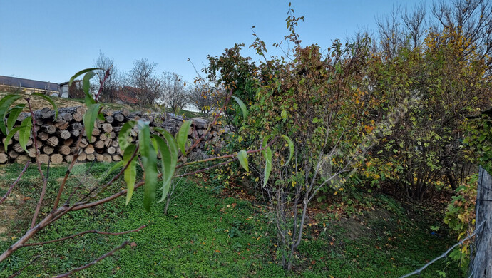 4. kép | Eladó Családi ház, Nyúl (#178303)