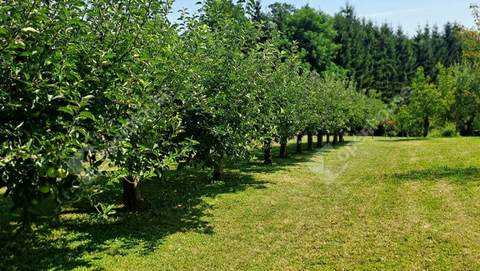 17. kép | Eladó Zárt kert, Lenti (#179558)