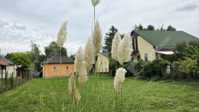 12. kép | Eladó Családi ház, Zamárdi (#177429)