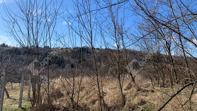 24. kép | Eladó Nyaraló, Homokkomárom (#179898)