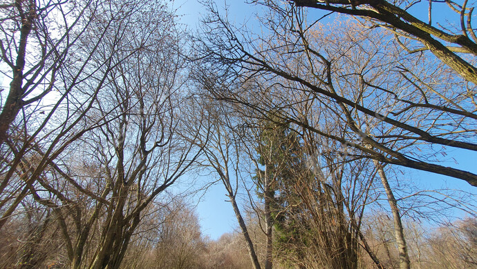 35. kép | Eladó Nyaraló, Homokkomárom (#180257)