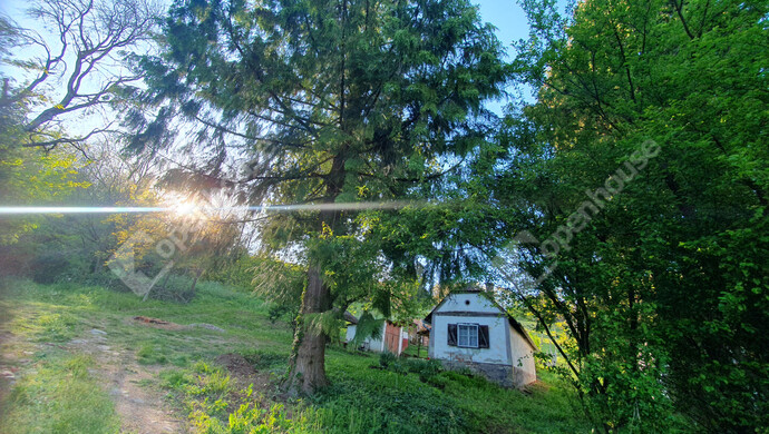 14. kép | Eladó Nyaraló, Homokkomárom (#181371)