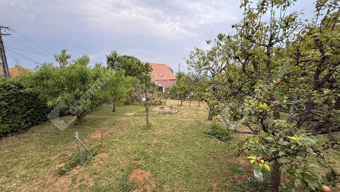 29. kép | Eladó Nyaraló, Zalaegerszeg (#175768)