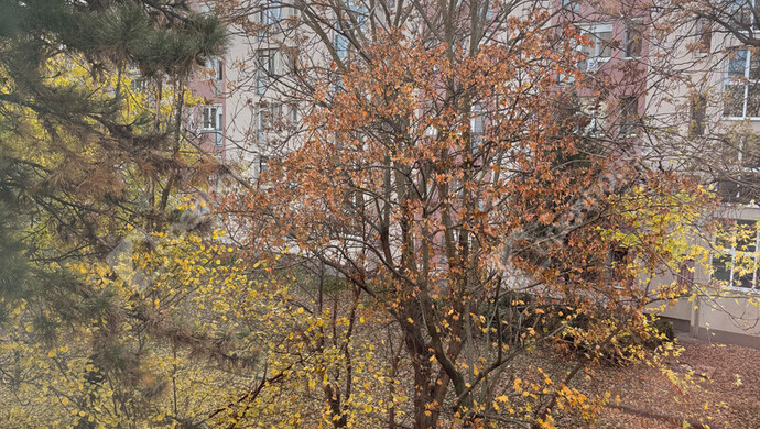 22. kép | Eladó Társasházi lakás, Budapest X. Ker. (#178463)